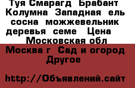 Туя Смарагд, Брабант, Колумна, Западная, ель, сосна, можжевельник, деревья, семе › Цена ­ 10 - Московская обл., Москва г. Сад и огород » Другое   